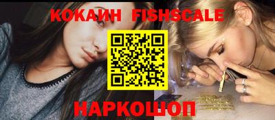 крисы Будённовск