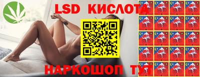 крисы Будённовск