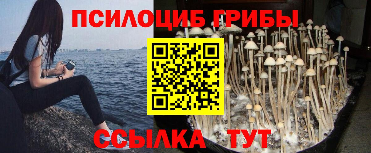 Псилоцибиновые грибы Cubensis  Псилоцибиновые грибы ЛСД  Вход с VPN  где можно купить наркотик  Шумерля 