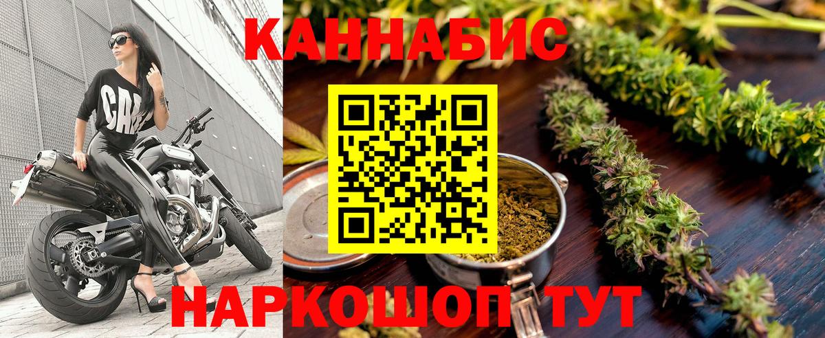 Каннабис сатива Шумерля